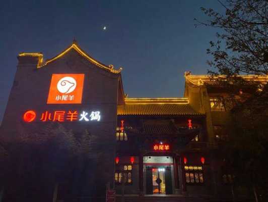 小尾羊多高,小尾羊火锅怎么样?-第2张图片-厨房小当家