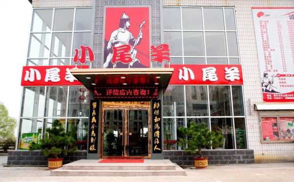 小尾羊多高,小尾羊火锅怎么样?-第3张图片-厨房小当家