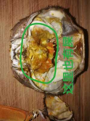 毛蟹吃哪里(毛蟹哪里能吃哪里不能吃)-第1张图片-厨房小当家 毛蟹吃哪里(毛蟹哪里能吃哪里不能吃)-第1张图片-厨房小当家