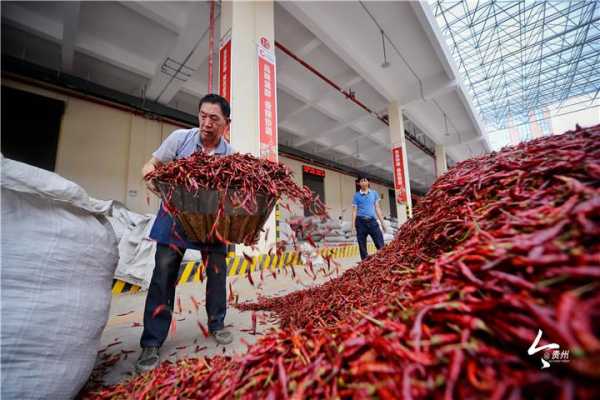 辣市场怎么样(辣椒大市场)-第3张图片-厨房小当家 辣市场怎么样(辣椒大市场)-第3张图片-厨房小当家