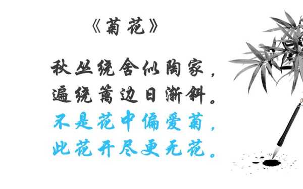 嗨极乐茶怎么样（曾经沧海难为水除却巫山不是云是什么歌曲）-第3张图片-厨房小当家