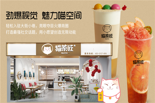 猫茶加盟怎么样(猫喝茶会怎样)-第1张图片-厨房小当家 猫茶加盟怎么样(猫喝茶会怎样)-第1张图片-厨房小当家