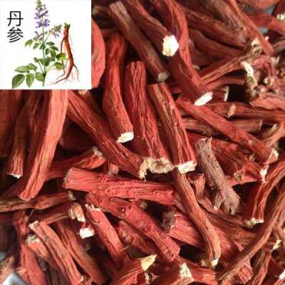 丹参哪里最好(5哪个地方生产的丹参质量最好)-第2张图片-厨房小当家 丹参哪里最好(5哪个地方生产的丹参质量最好)-第2张图片-厨房小当家