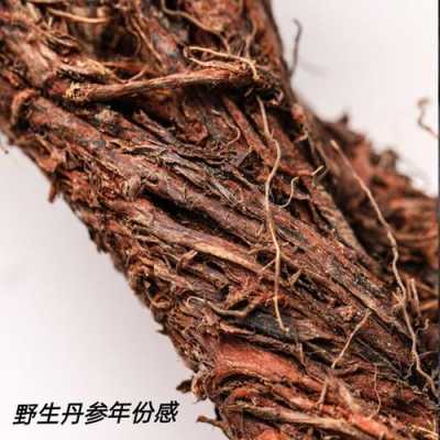 丹参哪里最好(5哪个地方生产的丹参质量最好)-第3张图片-厨房小当家 丹参哪里最好(5哪个地方生产的丹参质量最好)-第3张图片-厨房小当家