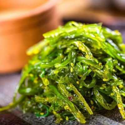 海带哪里的最好(海带哪里的最好吃最正宗)-第3张图片-厨房小当家 海带哪里的最好(海带哪里的最好吃最正宗)-第3张图片-厨房小当家
