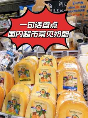 奶酪哪里可以买到(为什么超市里买不到奶酪)-第2张图片-厨房小当家 奶酪哪里可以买到(为什么超市里买不到奶酪)-第2张图片-厨房小当家