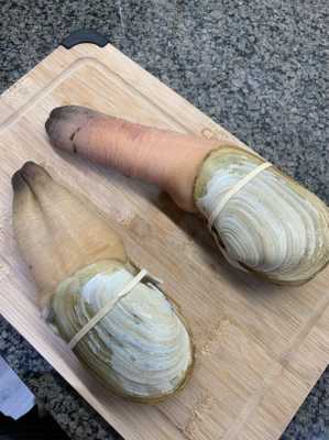 象拔蚌吃哪里(象拔蚌吃哪里的肉最好)-第2张图片-厨房小当家 象拔蚌吃哪里(象拔蚌吃哪里的肉最好)-第2张图片-厨房小当家