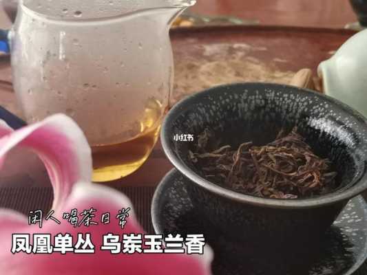 开花茶吧怎么样(开花茶吧怎么样好喝吗)-第3张图片-厨房小当家 开花茶吧怎么样(开花茶吧怎么样好喝吗)-第3张图片-厨房小当家