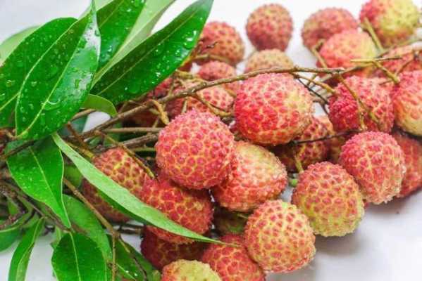 哪里荔枝好吃(哪里荔枝好吃又便宜)-第2张图片-厨房小当家 哪里荔枝好吃(哪里荔枝好吃又便宜)-第2张图片-厨房小当家