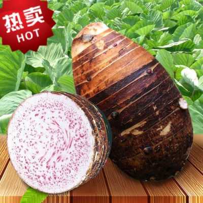 荔浦芋头哪里买(荔浦芋头哪里买最正宗)-第3张图片-厨房小当家 荔浦芋头哪里买(荔浦芋头哪里买最正宗)-第3张图片-厨房小当家