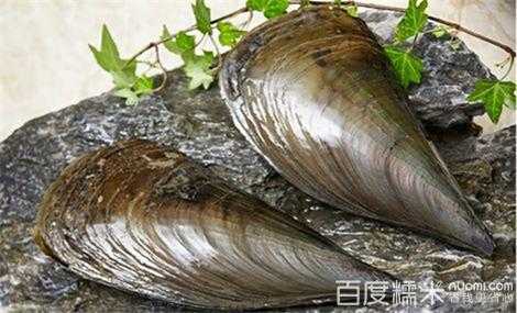 臻货海鲜怎么样（臻玉匠可靠吗）-第2张图片-厨房小当家