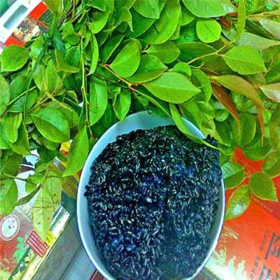 哪里有乌饭叶(桂林糯米饭中间的脆皮哪里有卖?或者怎样做?谢谢)-第1张图片-厨房小当家 哪里有乌饭叶(桂林糯米饭中间的脆皮哪里有卖?或者怎样做?谢谢)-第1张图片-厨房小当家