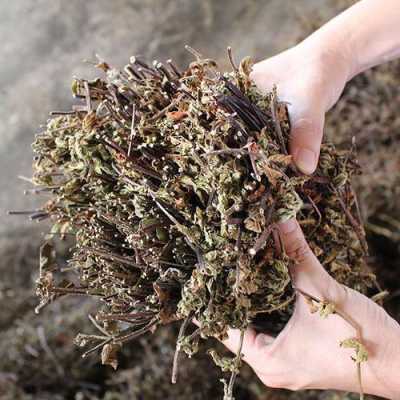 仙草干哪里有卖(仙草干哪里有卖的啊)-第1张图片-厨房小当家 仙草干哪里有卖(仙草干哪里有卖的啊)-第1张图片-厨房小当家