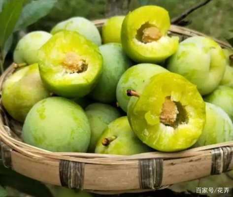 青李是哪里的地方,青李子是哪里的特产-第1张图片-厨房小当家