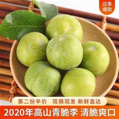 青李是哪里的地方,青李子是哪里的特产-第3张图片-厨房小当家
