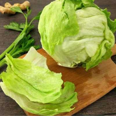 生菜球哪里有卖(生菜球怎么做好吃又嫩又脆)-第2张图片-厨房小当家 生菜球哪里有卖(生菜球怎么做好吃又嫩又脆)-第2张图片-厨房小当家