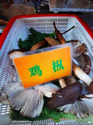 建水野生菌哪家好吃,-第3张图片-厨房小当家 建水野生菌哪家好吃,-第3张图片-厨房小当家