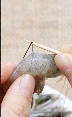 龙虾虾线在哪里（大龙虾虾线怎么挑）-第3张图片-厨房小当家