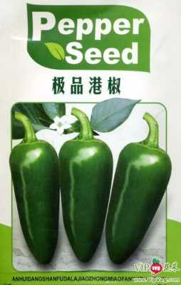 拌喜2号能拌辣椒种子吗,喜翻拌官网-第3张图片-厨房小当家 拌喜2号能拌辣椒种子吗,喜翻拌官网-第3张图片-厨房小当家