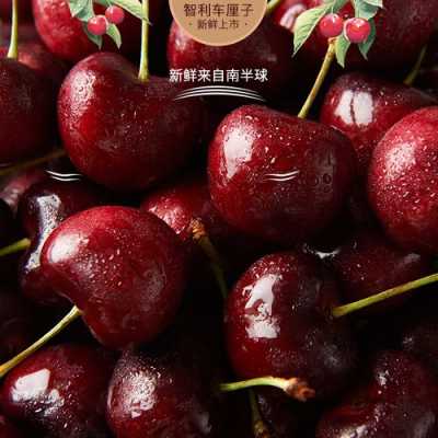哪里的车厘子好吃(车厘子最好吃排名前十)-第3张图片-厨房小当家 哪里的车厘子好吃(车厘子最好吃排名前十)-第3张图片-厨房小当家