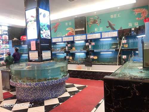 开个海鲜餐厅怎么样(开个海鲜餐厅怎么样赚钱)-第2张图片-厨房小当家 开个海鲜餐厅怎么样(开个海鲜餐厅怎么样赚钱)-第2张图片-厨房小当家