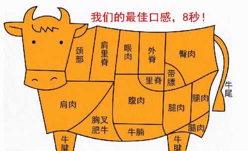 牛肉 哪里 最嫩(牛肉哪个部位最嫩呢)-第3张图片-厨房小当家 牛肉 哪里 最嫩(牛肉哪个部位最嫩呢)-第3张图片-厨房小当家