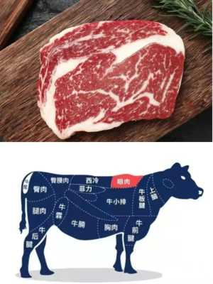 牛肉 哪里 最嫩(牛肉哪个部位最嫩呢)-第2张图片-厨房小当家 牛肉 哪里 最嫩(牛肉哪个部位最嫩呢)-第2张图片-厨房小当家