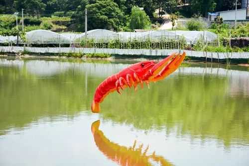 岳阳钓龙虾的地方,岳阳龙虾哪家好吃-第3张图片-厨房小当家 岳阳钓龙虾的地方,岳阳龙虾哪家好吃-第3张图片-厨房小当家