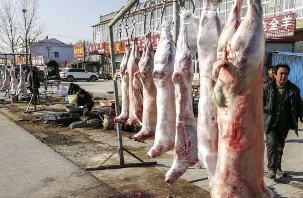 杭州哪里买羊肉(请问杭州哪里有卖羊肉的)-第1张图片-厨房小当家 杭州哪里买羊肉(请问杭州哪里有卖羊肉的)-第1张图片-厨房小当家