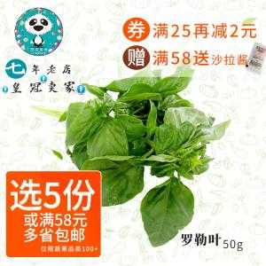 罗勒叶 哪里买(罗勒叶哪里买)-第3张图片-厨房小当家 罗勒叶 哪里买(罗勒叶哪里买)-第3张图片-厨房小当家