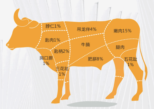 牛胸口是哪个部位,牛胸口是哪里的肉-第1张图片-厨房小当家 牛胸口是哪个部位,牛胸口是哪里的肉-第1张图片-厨房小当家