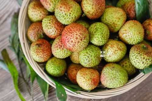 妃子笑哪里好吃(妃子笑哪里的最好吃)-第3张图片-厨房小当家 妃子笑哪里好吃(妃子笑哪里的最好吃)-第3张图片-厨房小当家