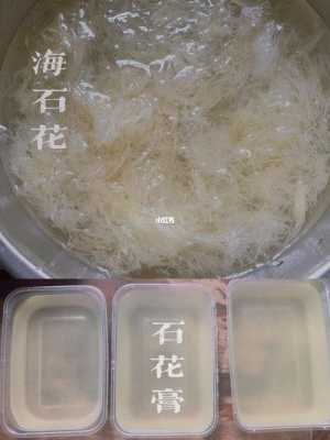 石花膏哪里买(石花膏哪里买得到)-第3张图片-厨房小当家 石花膏哪里买(石花膏哪里买得到)-第3张图片-厨房小当家