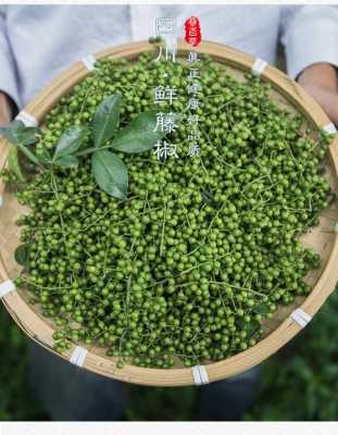 青花椒哪里的最好(四川青花椒哪里的最好)-第3张图片-厨房小当家 青花椒哪里的最好(四川青花椒哪里的最好)-第3张图片-厨房小当家