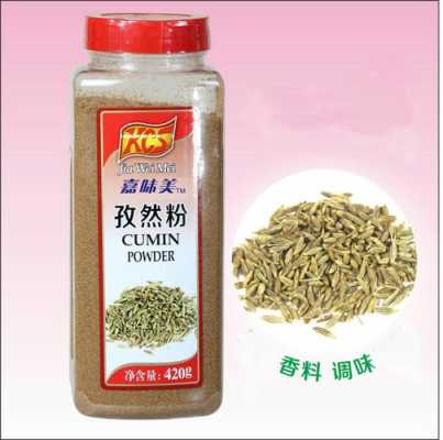 孜然粉是哪里的-第2张图片-厨房小当家 孜然粉是哪里的-第2张图片-厨房小当家