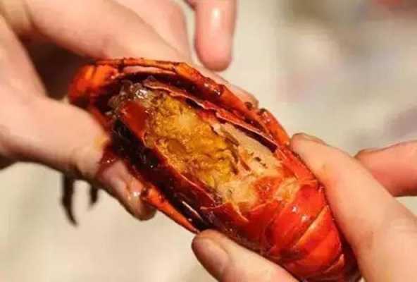 小龙虾哪里能吃哪里不能吃(小龙虾哪个地方能吃哪个地方不能吃)-第3张图片-厨房小当家 小龙虾哪里能吃哪里不能吃(小龙虾哪个地方能吃哪个地方不能吃)-第3张图片-厨房小当家