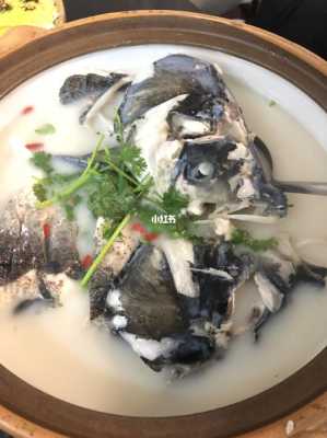 在千岛湖,哪里吃鱼头最好,鱼头哪里能吃哪里不能吃-第1张图片-厨房小当家 在千岛湖,哪里吃鱼头最好,鱼头哪里能吃哪里不能吃-第1张图片-厨房小当家