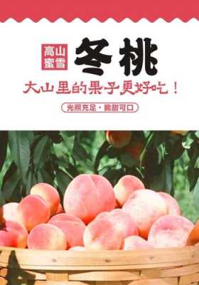 蜜雪桃花怎么样(蜜雪桃品种介绍)-第2张图片-厨房小当家 蜜雪桃花怎么样(蜜雪桃品种介绍)-第2张图片-厨房小当家