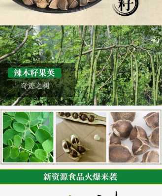 辣不李怎么样(辣不籽的功效与作用)-第3张图片-厨房小当家 辣不李怎么样(辣不籽的功效与作用)-第3张图片-厨房小当家