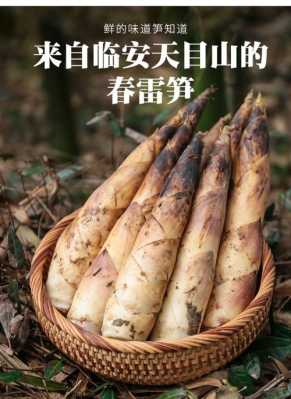 哪里的竹笋好吃(全国哪个地方的冬笋最好)-第1张图片-厨房小当家 哪里的竹笋好吃(全国哪个地方的冬笋最好)-第1张图片-厨房小当家