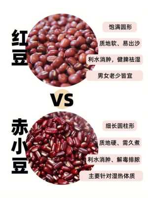 哪里赤小豆好(哪里赤小豆好吃)-第3张图片-厨房小当家 哪里赤小豆好(哪里赤小豆好吃)-第3张图片-厨房小当家