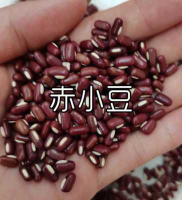 哪里赤小豆好(哪里赤小豆好吃)-第2张图片-厨房小当家 哪里赤小豆好(哪里赤小豆好吃)-第2张图片-厨房小当家