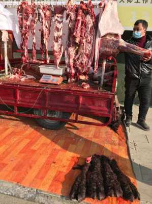 骆驼肉哪里有(哪里有开骆驼肉的餐馆)-第2张图片-厨房小当家 骆驼肉哪里有(哪里有开骆驼肉的餐馆)-第2张图片-厨房小当家