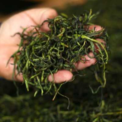 匠之茶怎么样（枞匠是什么茶）-第2张图片-厨房小当家