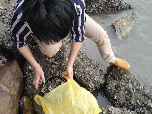 厦门哪里吃生蚝(厦门赶海抓螃蟹的地方)-第2张图片-厨房小当家 厦门哪里吃生蚝(厦门赶海抓螃蟹的地方)-第2张图片-厨房小当家