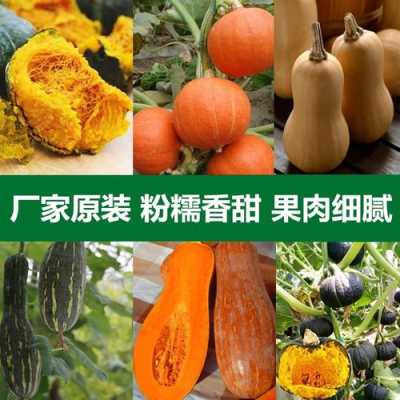 蜜佳产品怎么样(甜蜜蜜钓法)-第2张图片-厨房小当家 蜜佳产品怎么样(甜蜜蜜钓法)-第2张图片-厨房小当家