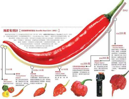 重辣五号辣度是多少万,变态辣对人体有无危害-第1张图片-厨房小当家