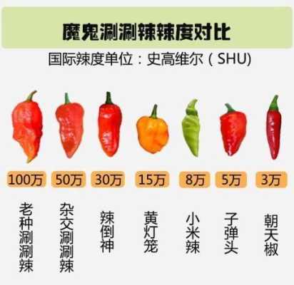 重辣五号辣度是多少万,变态辣对人体有无危害-第2张图片-厨房小当家