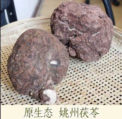 哪里出产的茯苓最好,茯苓产地中国哪里最好-第2张图片-厨房小当家 哪里出产的茯苓最好,茯苓产地中国哪里最好-第2张图片-厨房小当家