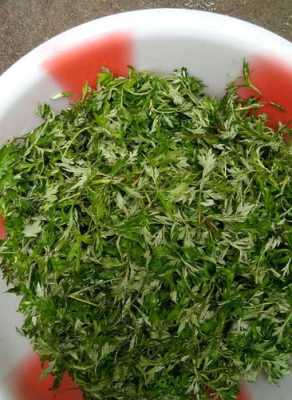 艾草粉哪里买(艾草糯粉的做法)-第1张图片-厨房小当家 艾草粉哪里买(艾草糯粉的做法)-第1张图片-厨房小当家
